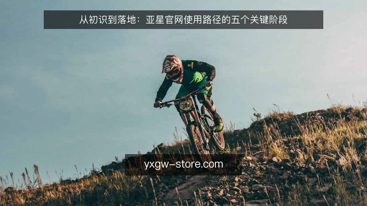 从初识到落地：亚星官网使用路径的五个关键阶段