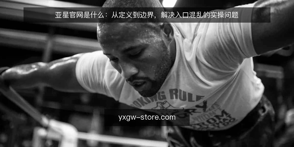 亚星官网是什么:从定义到边界,解决入口混乱的实操问题 — 入口碎片化带来的操作痛点是什么 配图