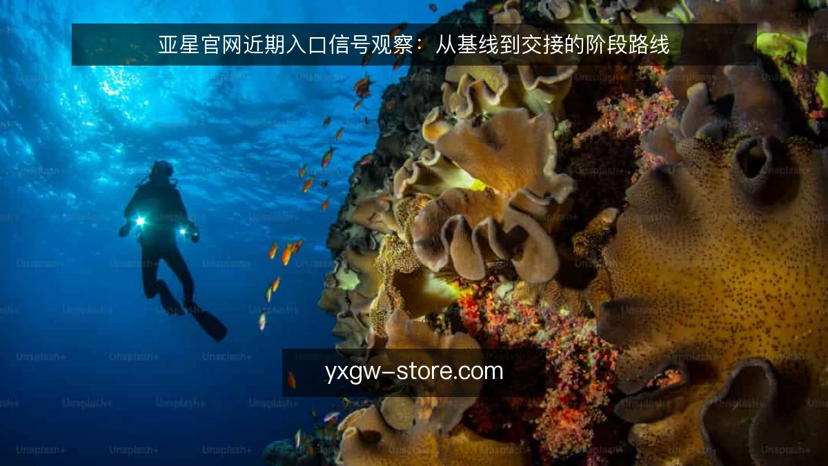 亚星官网近期入口信号观察:从基线到交接的阶段路线